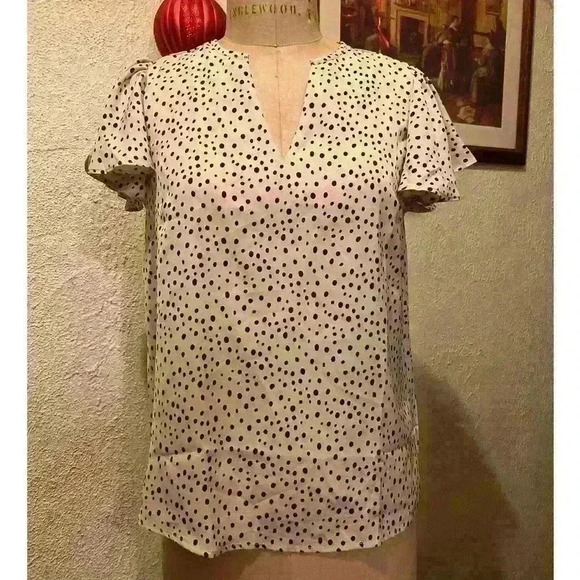 ACONIYA Casual Ruffled V Neck Chiffon Short Sleeve Top Blouse NWT Size S - Picture 3 of 10